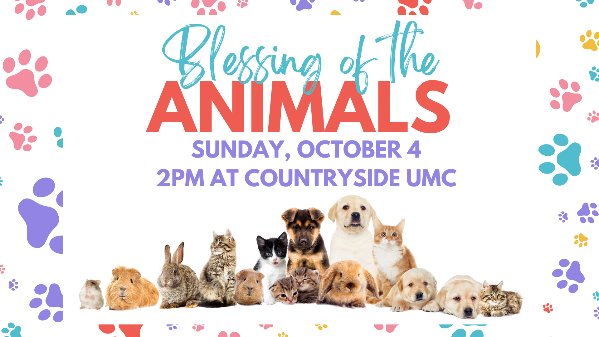 Blessing of the Animals